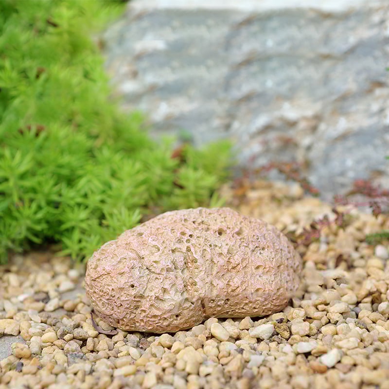 Fake Rock Key Hider – Outdoor Weatherproof Hidden Key Holder for Garden or Porch