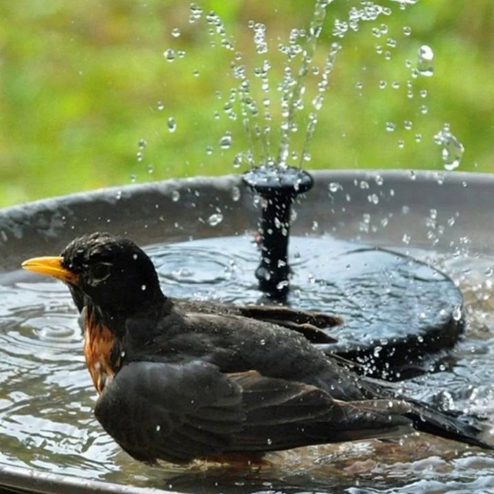 1+1 Free | Solar Powered Floating Garden Fountain Mivoza Germany