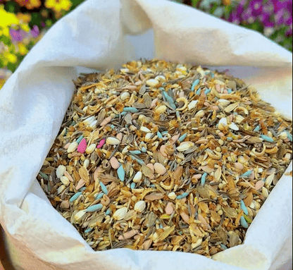 1000 Samen Mehrjährige Blumenmischung – 60+ Sorten für ganzjährige Blüten Mivoza Deutschland