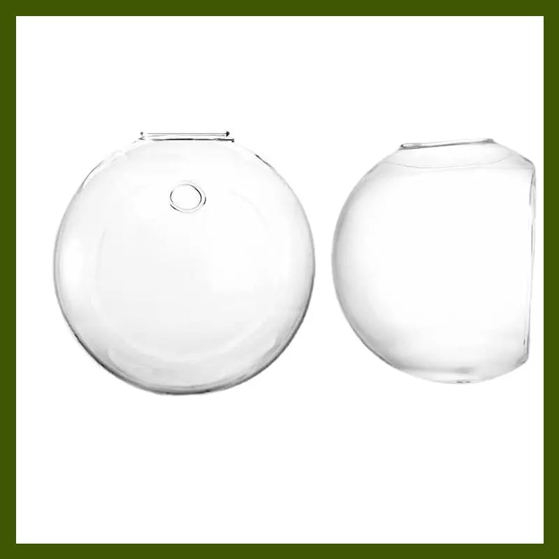 Wandpflanzenhalter — Vertikaler Garten & dekoratives Fischglas Mivoza Deutschland