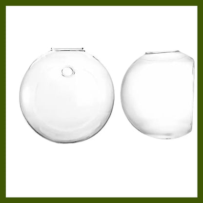 Wandpflanzenhalter — Vertikaler Garten & dekoratives Fischglas Mivoza Deutschland