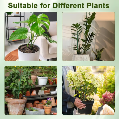 Plant Support Set — Prevents Large Leaf Plants from Tipping Over 5-Piece Set