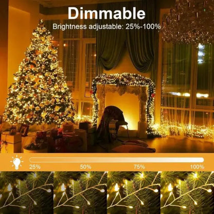 LED Fairy Lights – The Perfect Way to Add Sparkle and Charm to Any Room or Gift
