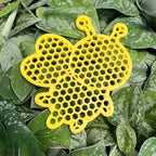 Drinking Station for Bees — Resting Place & Water Source for Pollinators