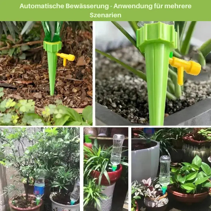 Selbstbewässernder Pflanzenspieß für automatische Pflanzenpflege