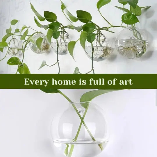 Wandpflanzenhalter — Vertikaler Garten & dekoratives Fischglas Mivoza Deutschland