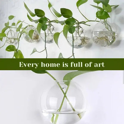 Wandpflanzenhalter — Vertikaler Garten & dekoratives Fischglas Mivoza Deutschland