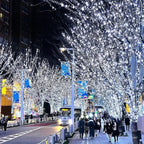 LED Weihnachtsbaum-Lichterkette – Glitzernde und sichere Festtagsbeleuchtung