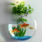 Wandpflanzenhalter ohne Bohren – Senkrechter Garten & Schmuck-Fischglas