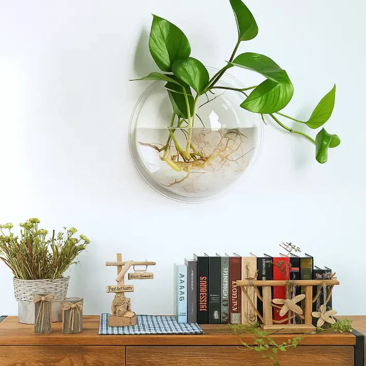 Wandpflanzenhalter ohne Bohren – Senkrechter Garten & Schmuck-Fischglas