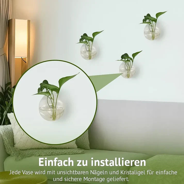 Wandpflanzenhalter ohne Bohren – Senkrechter Garten & Schmuck-Fischglas