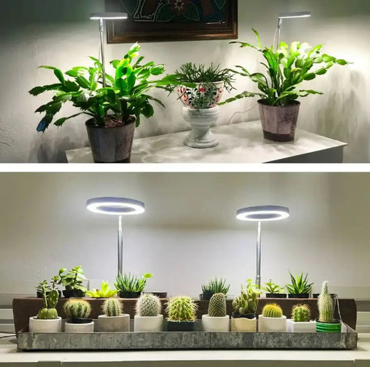 FloraPulse™ — Sunlight Perfected for Indoor Growth