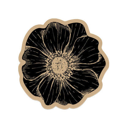 Kitchen Cloth — Quick and Spotless Clean