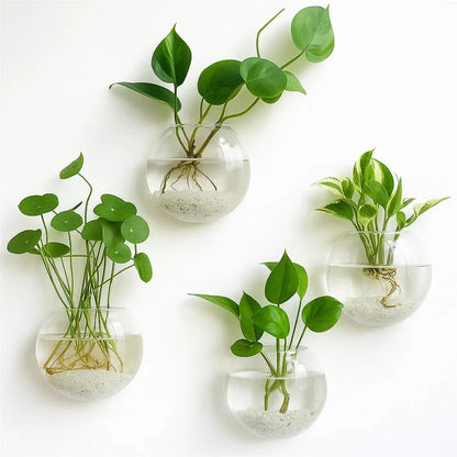 Wall-Mounted Glass Planter for Indoor Plants