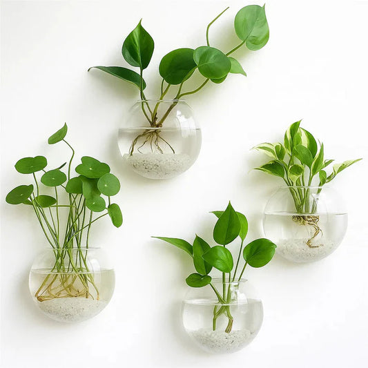 Wall-Mounted Glass Planter for Indoor Plants