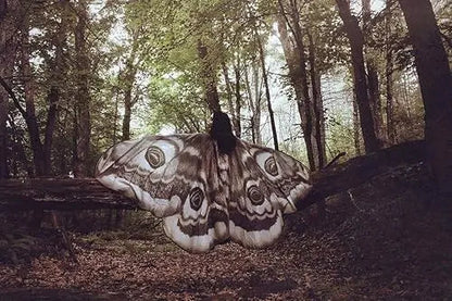 Grey Moth Wings Shawl – Elegance Stunning Cape