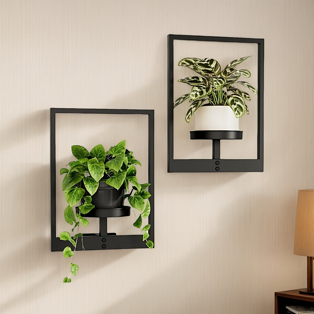 Wandpflanzenhalter — mehr Leben und Stil an der Wand Mivoza Deutschland