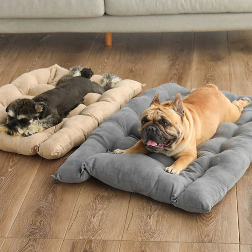 3-in-1 Pet Bed – Sofa, Mat, or Sleeping Cave