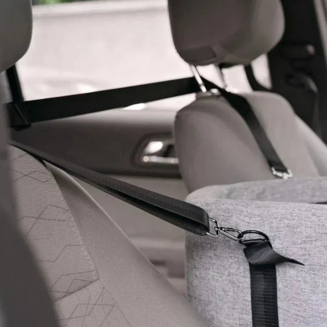 Auto Dog Seat – Safe & Padded for Small Dogs up to 11 kg