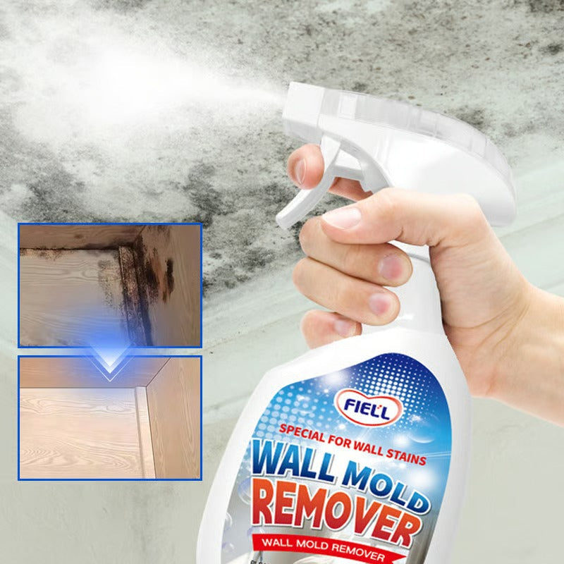 Fast-acting Anti-Mold Spray — No Scrubbing Required