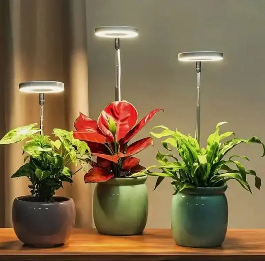 FloraPulse™ — Sunlight Perfected for Indoor Growth