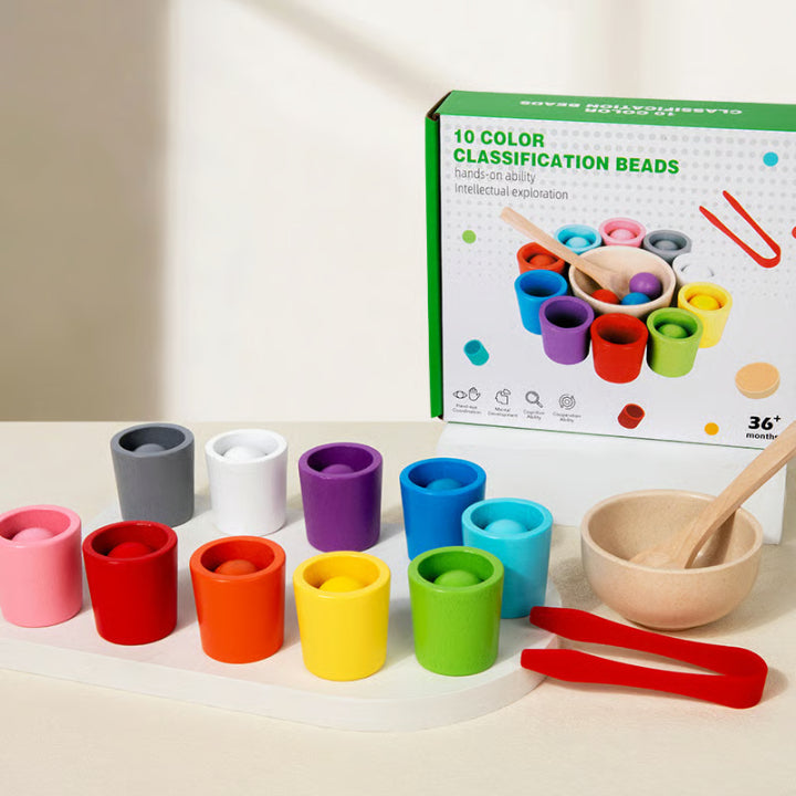 Color-Matching Wooden Set for Calm Learning