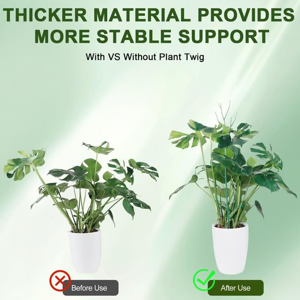 Plant Support Set — Prevents Large Leaf Plants from Tipping Over 5-Piece Set