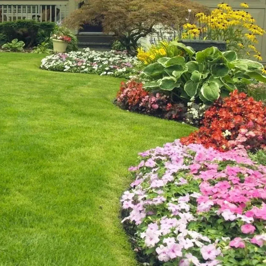 EvergreenVibe™ — Lush Lawn, All Seasons