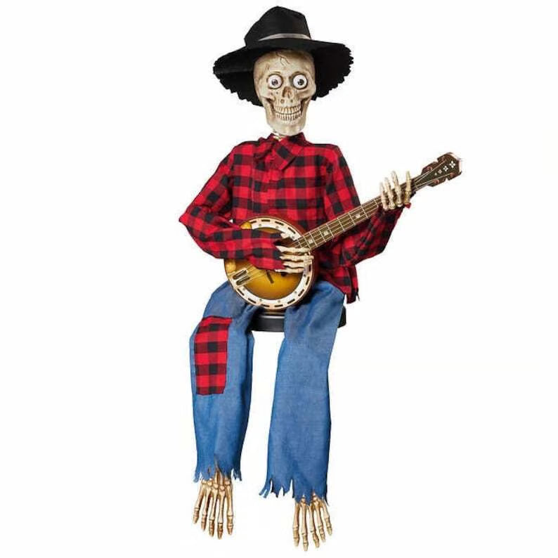 Animated Banjo Duo — Ensures Unforgettable Celebration Joy