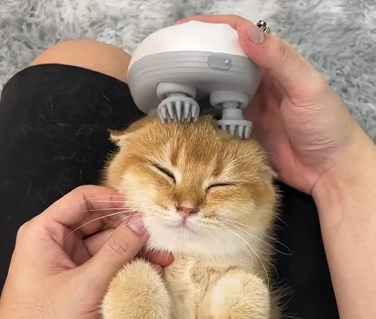 Cat Massager — Pure Relaxation for Your Cat