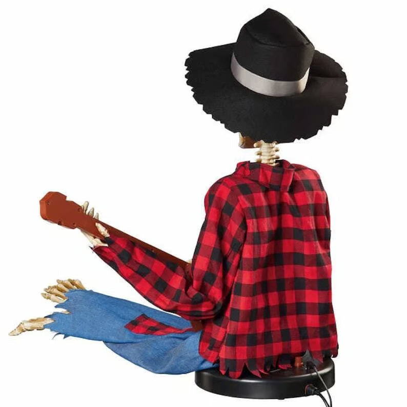 Animated Banjo Duo — Ensures Unforgettable Celebration Joy