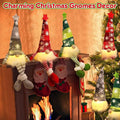 Christmas Gnome — Cozy Atmosphere and Reliable Protection