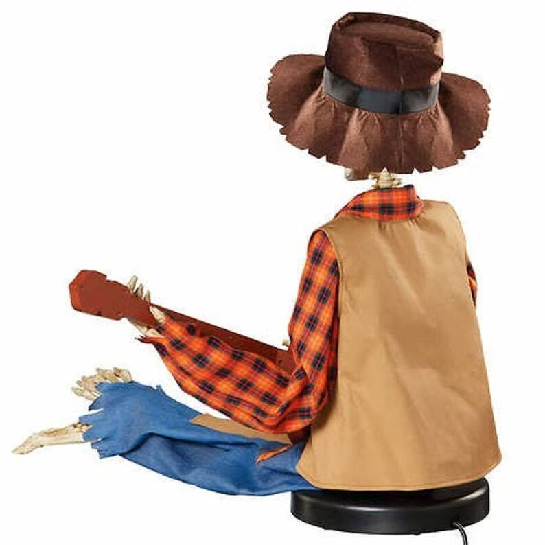 Animated Banjo Duo — Ensures Unforgettable Celebration Joy