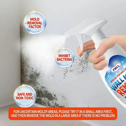 Fast-acting Anti-Mold Spray — No Scrubbing Required