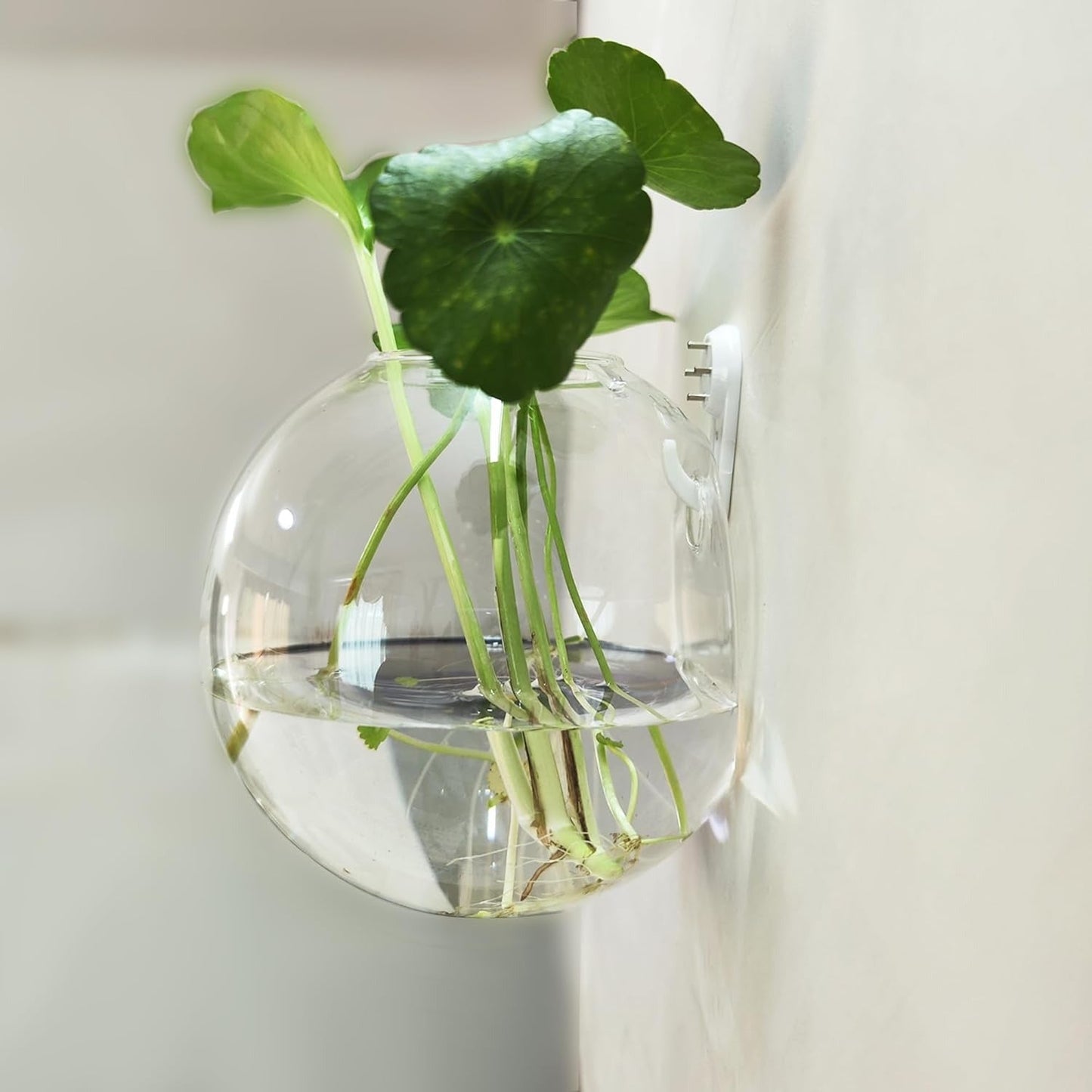 Wall Plant Holder — Vertical Garden & Decorative Fish Bowl