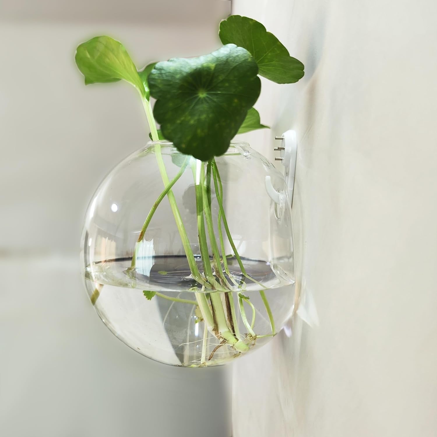 Wall Plant Holder — Vertical Garden & Decorative Fish Bowl