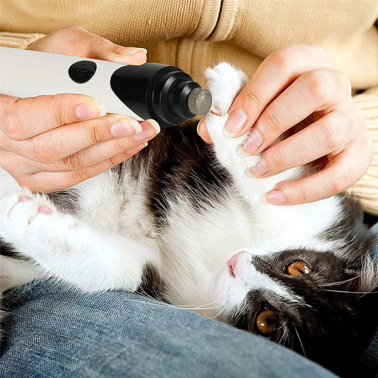 Elektrische Haustierfeile — Schonend selbst für ängstliche Tiere Mivoza Deutschland