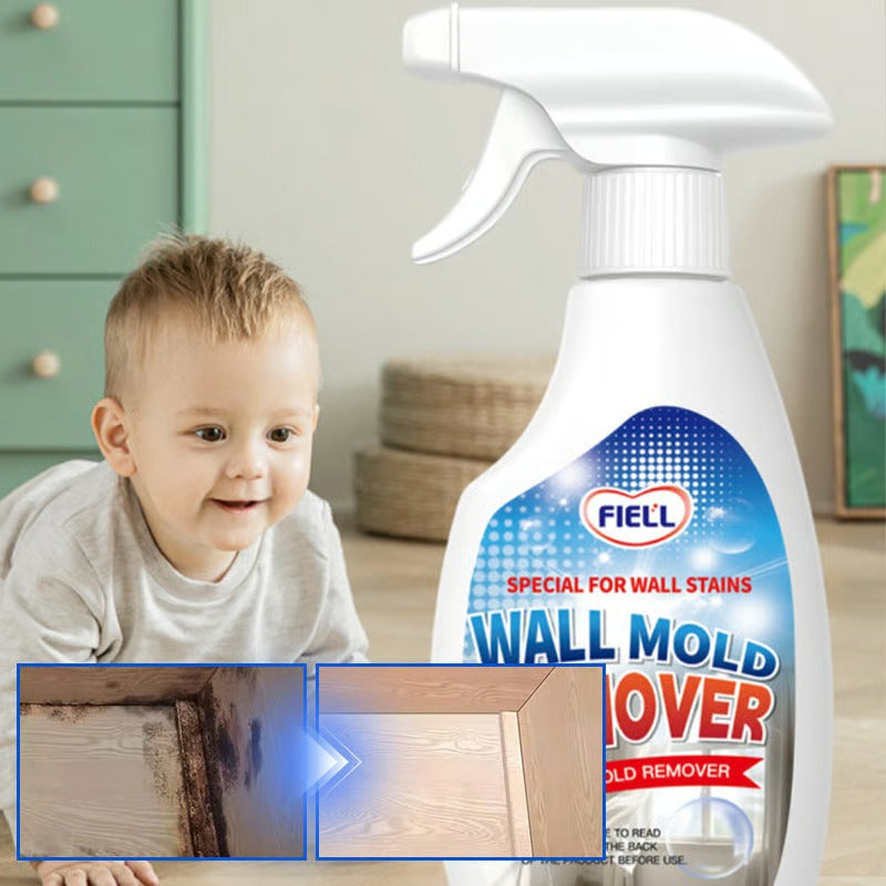 Fast-acting Anti-Mold Spray — No Scrubbing Required