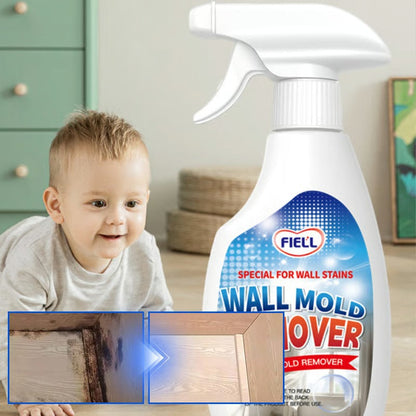 Fast-acting Anti-Mold Spray — No Scrubbing Required