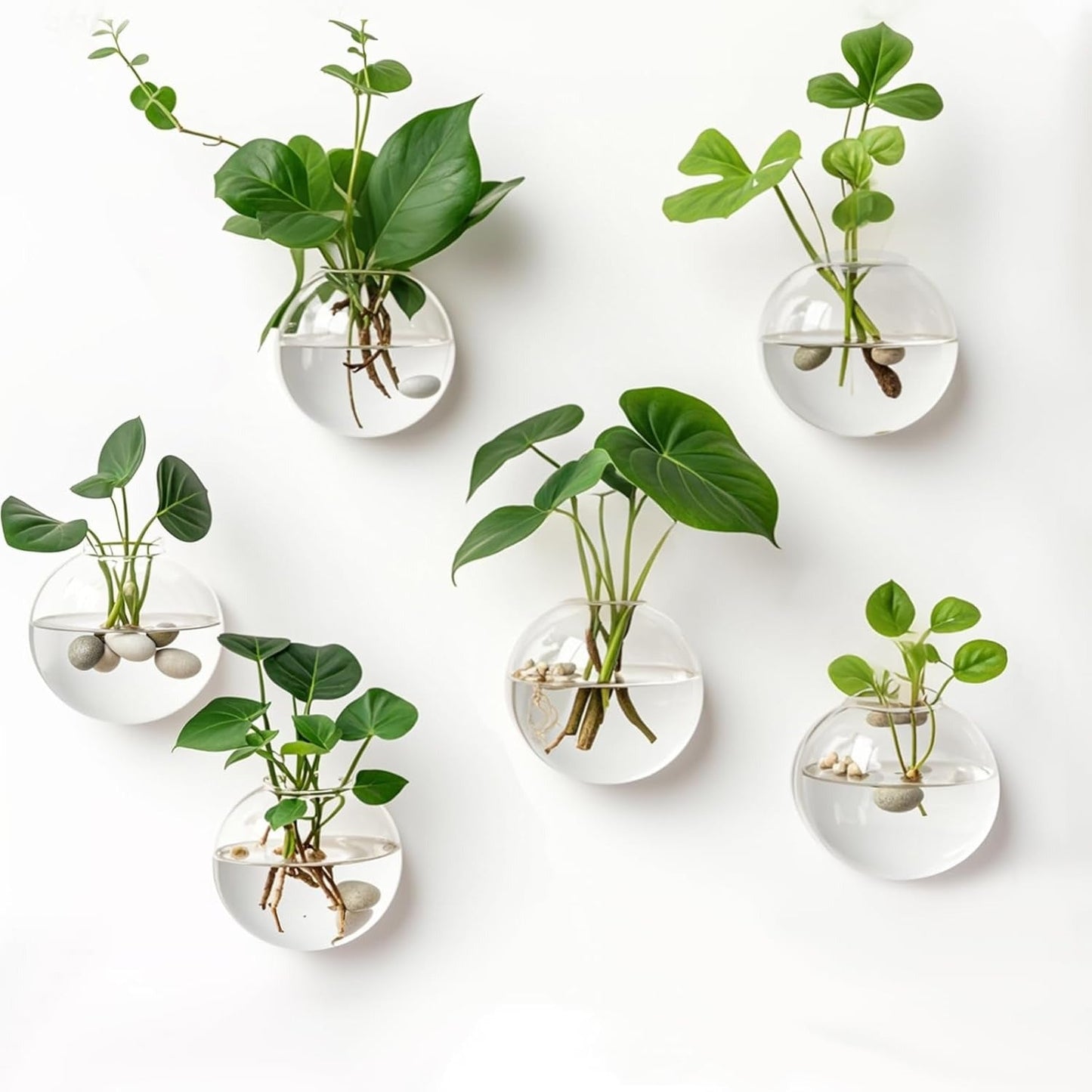 Wall Plant Holder — Vertical Garden & Decorative Fish Bowl