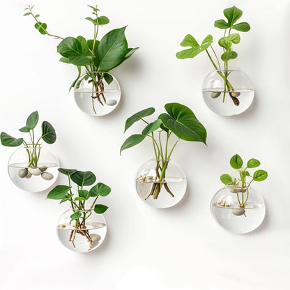 Wall Plant Holder — Vertical Garden & Decorative Fish Bowl