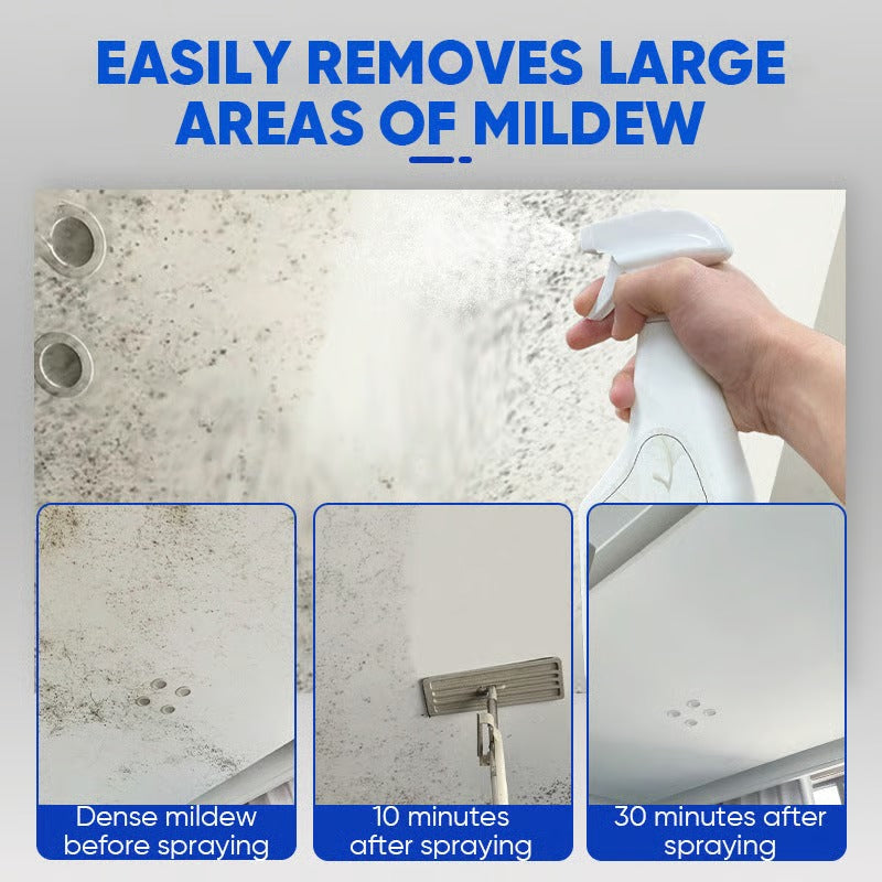 Fast-acting Anti-Mold Spray — No Scrubbing Required
