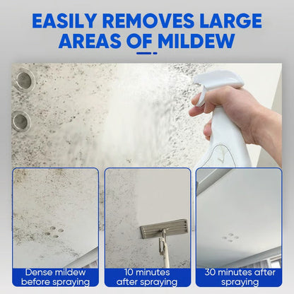 Fast-acting Anti-Mold Spray — No Scrubbing Required