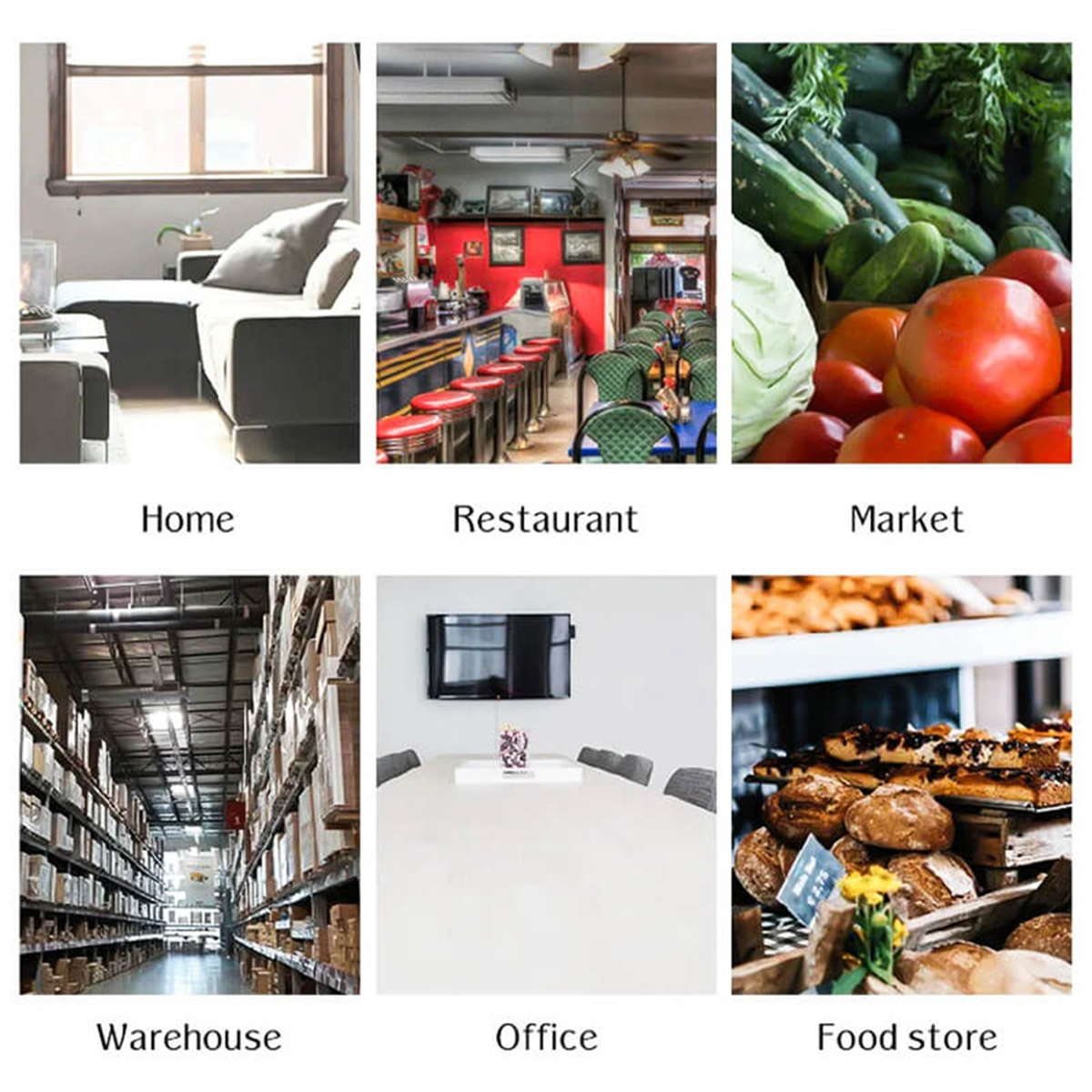 No-Escape Mouse Cage – Humane Multi-Catch Trap